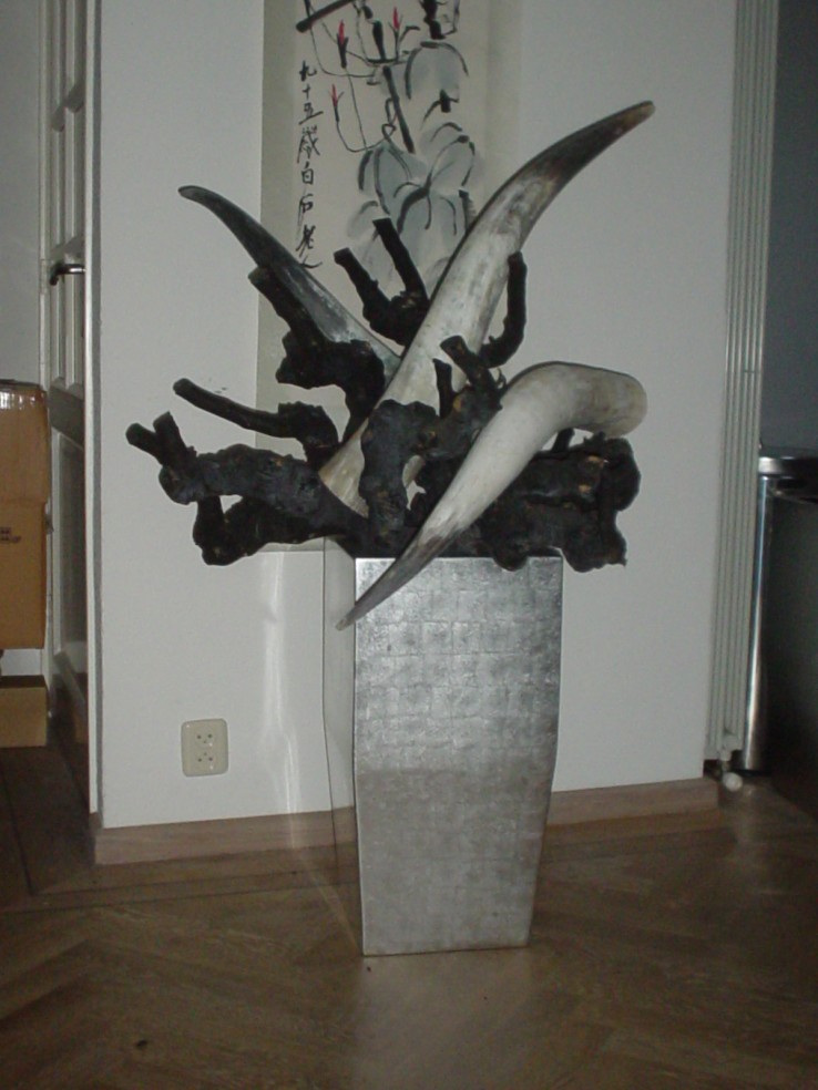 fototoestel1025.jpg