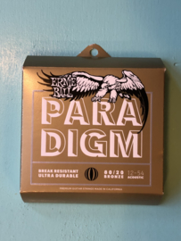 Paradigm ernie ball 12-54