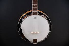 SX BJ405 5 string banjo