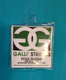 Galli Strings Folk Guitar