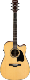 Ibanez Acoustic/Electric