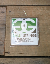 Galli Strings Folk Guitar