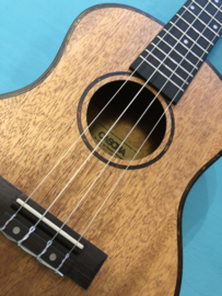 Cascha tenor ukulele