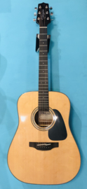 Takamine Dreadnought G series