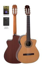 Admira Malaga EC 4/4 Solid Cedar Top Electric Cutaway