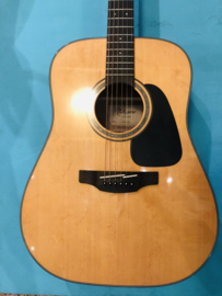 Takamine Dreadnought G series