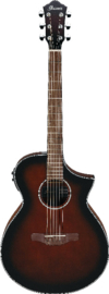 Ibanez acoustic electric