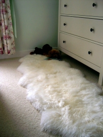 Sheepskin Double Extra Large