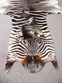 Zebra Hide Burchell A Grade (41)