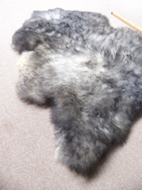 Grey Sheepskin XXL (5412)