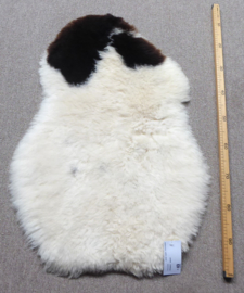Spotted Shorn Sheepskin S (1171)