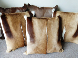 Springbok and Blesbok Cushions