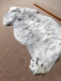 Welsh Sheepskin M (2224)