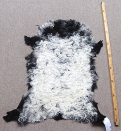 Curly Lambskin XS (8)