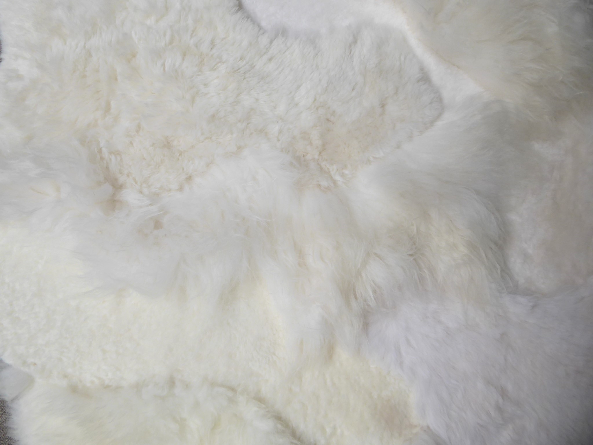 White Blizzard Sheepskin Rug, +/- 140 x 140 cm (5)