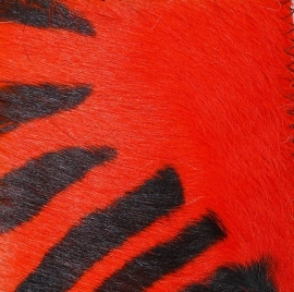 Zebra Printed Cowhide Orange