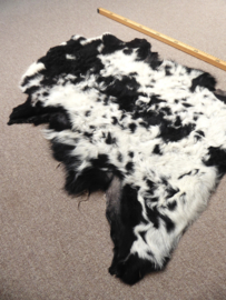 Curly Lambskin XS (20)
