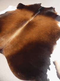 Tri-Coloured Cowhide XL (223)