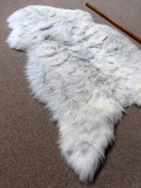 Welsh Sheepskin M (254)