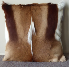 Springbok Cushion (54)