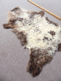 Curly Lambskin XS (7)