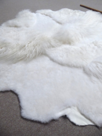 White Blizzard Sheepskin Rug, +/- 140 x 140 cm (90)