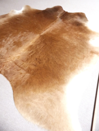 Caramel Cowhide XL (314)