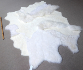 White Blizzard Sheepskin Rug, +/- 160 x 220 cm (251)