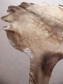 Taupe Cowhide L (315)