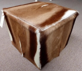 Springbok Ottoman (4)
