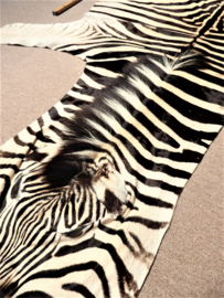 Zebra Hide Burchell A Grade (10)