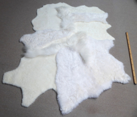 White Blizzard Sheepskin Rug, +/- 150 x 200 cm (253)