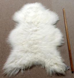 White Icelandic Sheepskin M (964)