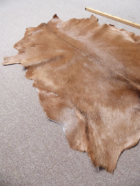 Goatskin (666)
