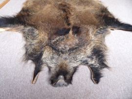 Wild Boar Skin M/L (24)
