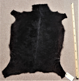 Goatskin (613)