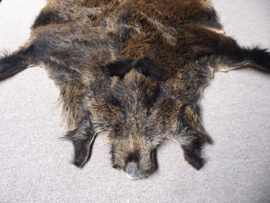 Wild Boar Skin M/L (16)