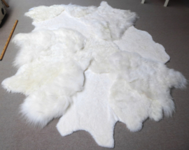 White Blizzard Sheepskin Rug, +/- 200 x 250 cm (14)