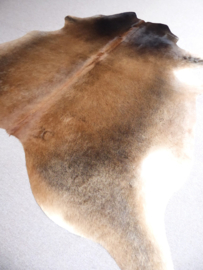 Caramel-Brown Cowhide M (650)