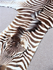 Zebra Hide Burchell C Grade (14)