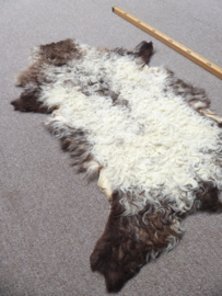 Curly Lambskin XS (3)