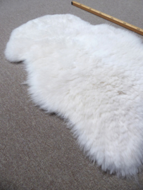 White Shorn Sheepskin S (5080)