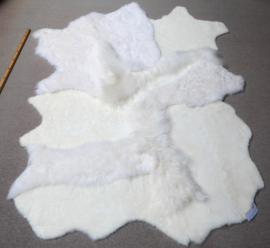 White Blizzard Sheepskin Rug, +/- 150 x 200 cm (253)