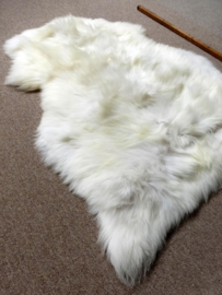 Welsh Sheepskin M (231)