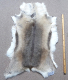 Reindeer Hide (35)