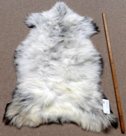 Welsh Sheepskin S/M (246)