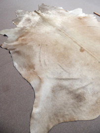 Champagne Cowhide L (554)