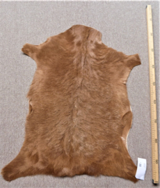 Goatskin (555)