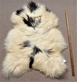 Spotted Icelandic Sheepskin  M (429)