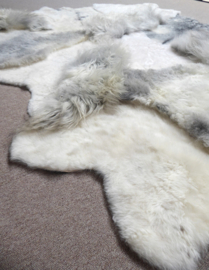 White-Grey Blizzard Sheepskin Rug, +/- 170 x 210 cm (12)